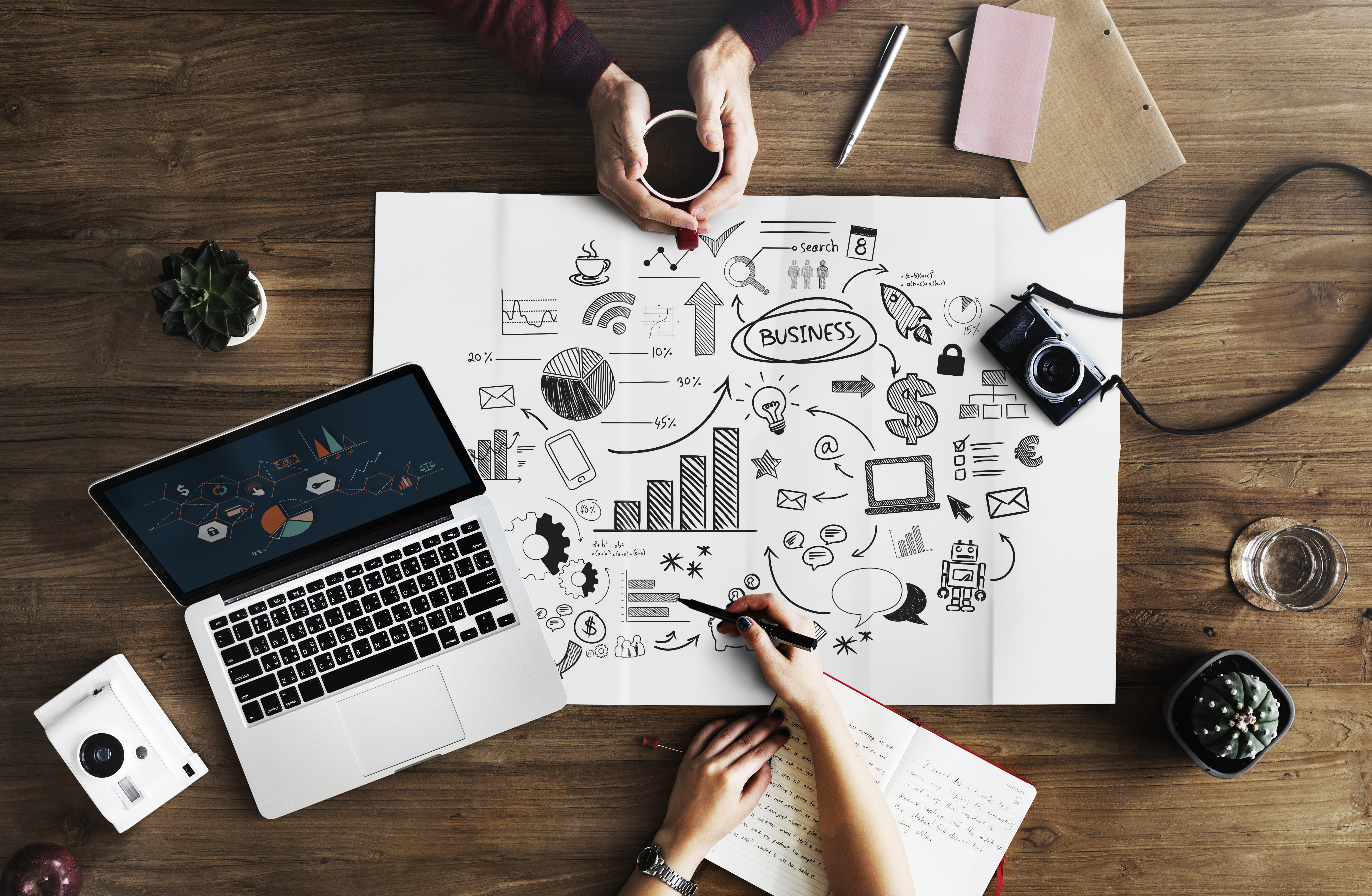 Digital marketing team